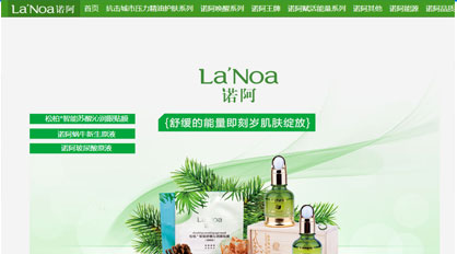 諾阿復(fù)合精油專家