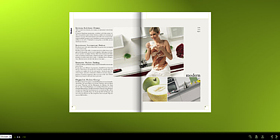 flippingbook flash(sh)Чa