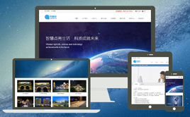 ӢpZm(yng)ͨù˾I(y)W(wng)վģ