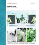 新聞內(nèi)容頁面