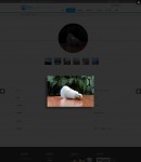 產(chǎn)品彈窗演示