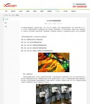 攻略內(nèi)容頁