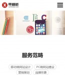 手機(jī)服務(wù)范疇