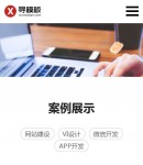 手機(jī)案例展示