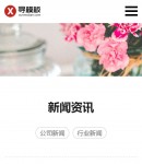 手機(jī)新聞資訊