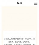 手機(jī)業(yè)務(wù)領(lǐng)域