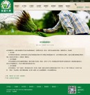 新聞內(nèi)容頁