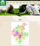 營銷網(wǎng)絡(luò)