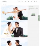 作品內(nèi)容頁(yè)