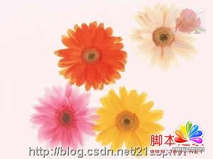 ASPMAspJpeg(ˮӡ)ʹ÷ȫ - ^ - ^ĵرP