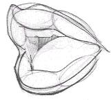 Flash̳̣ͨͺLƷ,PS̳,˼̳̾W(wng)