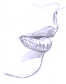 Flash̳̣ͨͺLƷ,PS̳,˼̳̾W(wng)