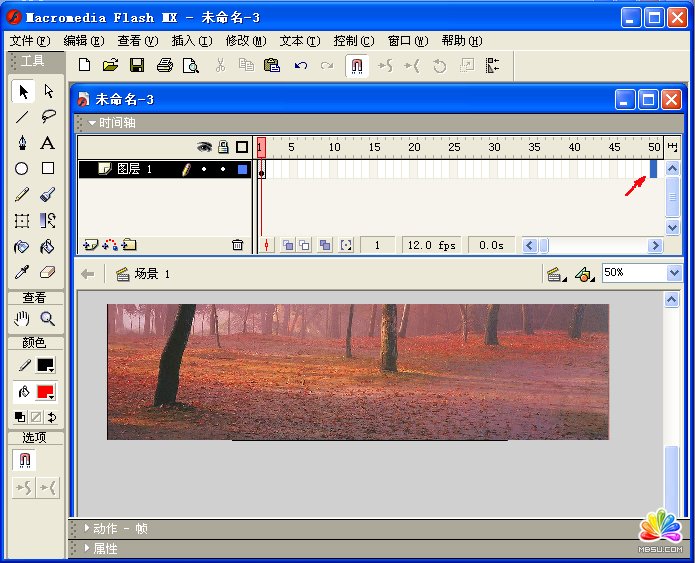 ʹFlash MXGIF(dng)DƬƳFLASH(dng)