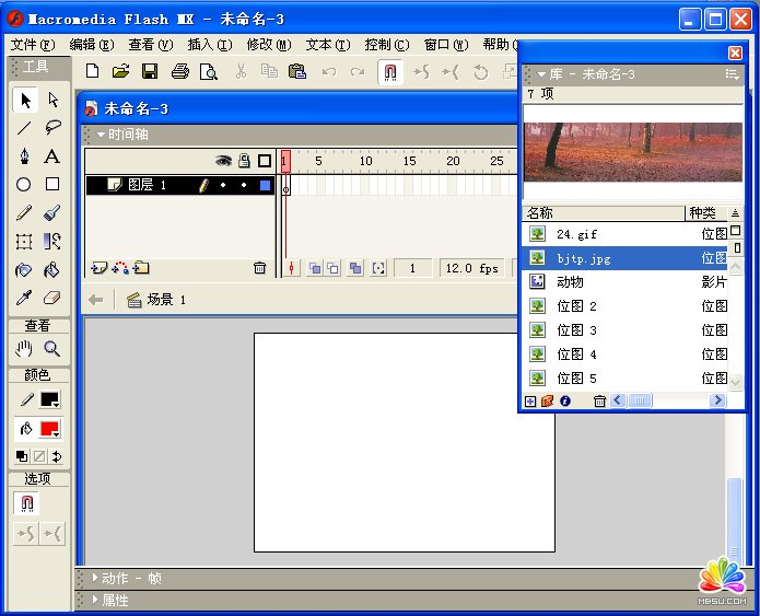 ʹFlash MXGIF(dng)DƬƳFLASH(dng)