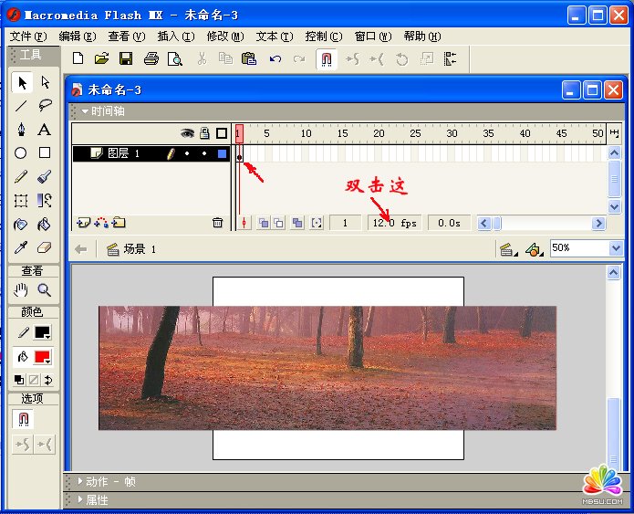 ʹFlash MXGIF(dng)DƬƳFLASH(dng)