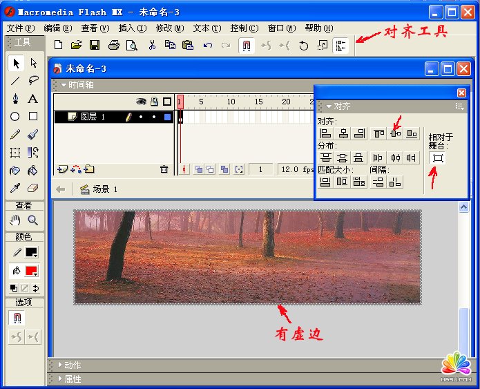ʹFlash MXGIF(dng)DƬƳFLASH(dng)