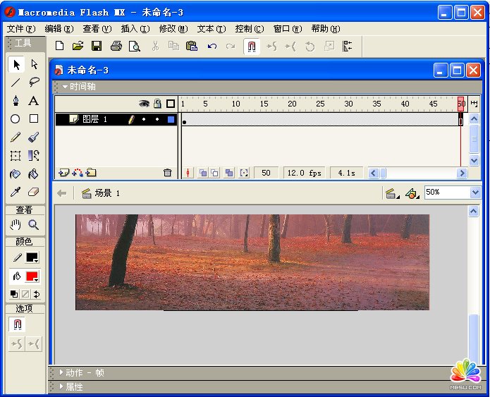 ʹFlash MXGIF(dng)DƬƳFLASH(dng)