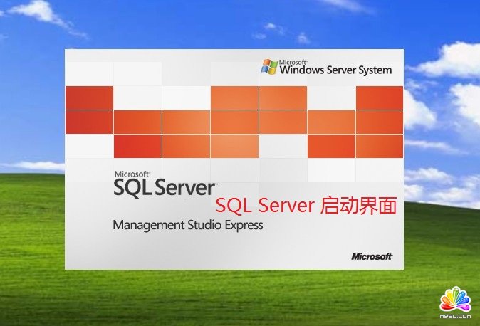 MS SQL Server Management Studio ExpressbDĽ̳